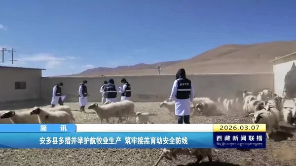 安多县多措并举护航牧业生产 筑牢接羔育幼安全防线