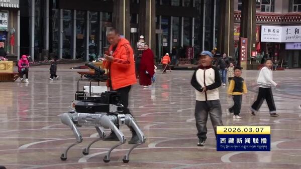 藏东街头新“警”色：机器狗“携技”上岗