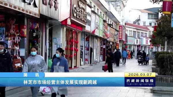林芝市市场经营主体发展实现新跨越