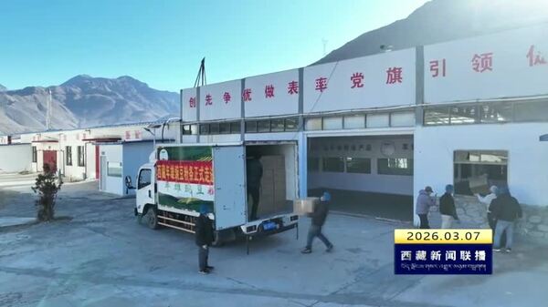 南木林县年雄豌豆粉条首次出口南亚