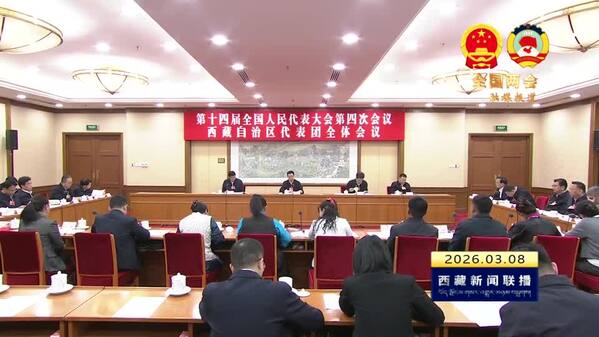【全国两会融媒报道·直通北京】西藏代表团举行全体会议 审议生态环境法典草案 民族团结进步促进法草案 国家发展规划法草案
