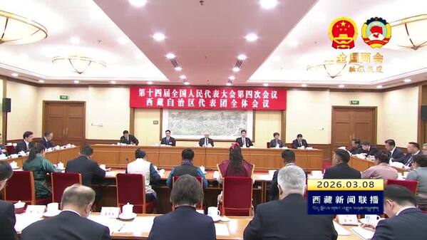 【全国两会融媒报道·直通北京】严金海在审议政府工作报告时强调 求真务实 勇于担当 真抓实干 奋力书写建设社会主义现代化新西藏的优异答卷