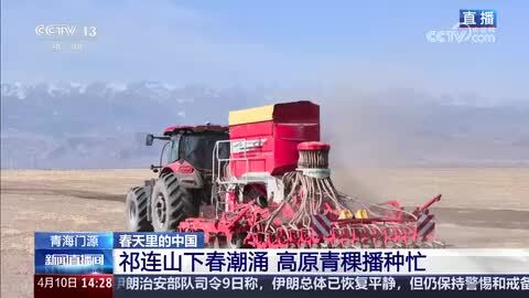 春天里的中国｜祁连山下春潮涌 高原青稞播种忙