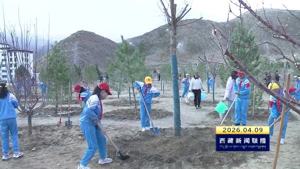 春染高原添新绿 美丽家园齐共筑——2026年拉萨春季义务植树活动侧记