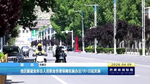 西藏自治区新就业形态人员职业伤害保障实施办法7月1日起实施