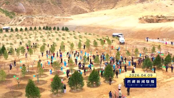 西藏自治区省军级领导参加2026年拉萨春季义务植树活动