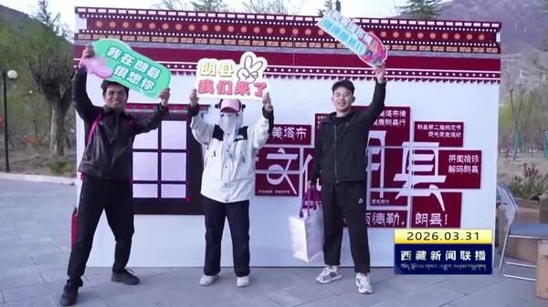 朗县举办第二届桃花节荧光夜走活动