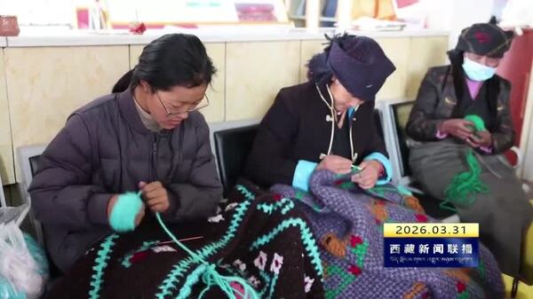 浪卡子县举办农牧民编织技能培训班