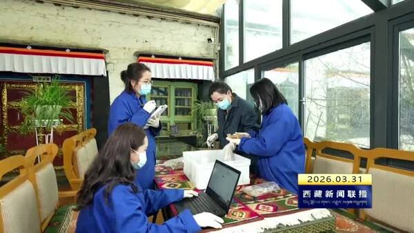 西藏自治区持续推进文物事业高质量发展