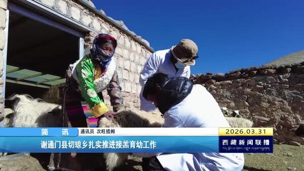 谢通门县切琼乡扎实推进接羔育幼工作