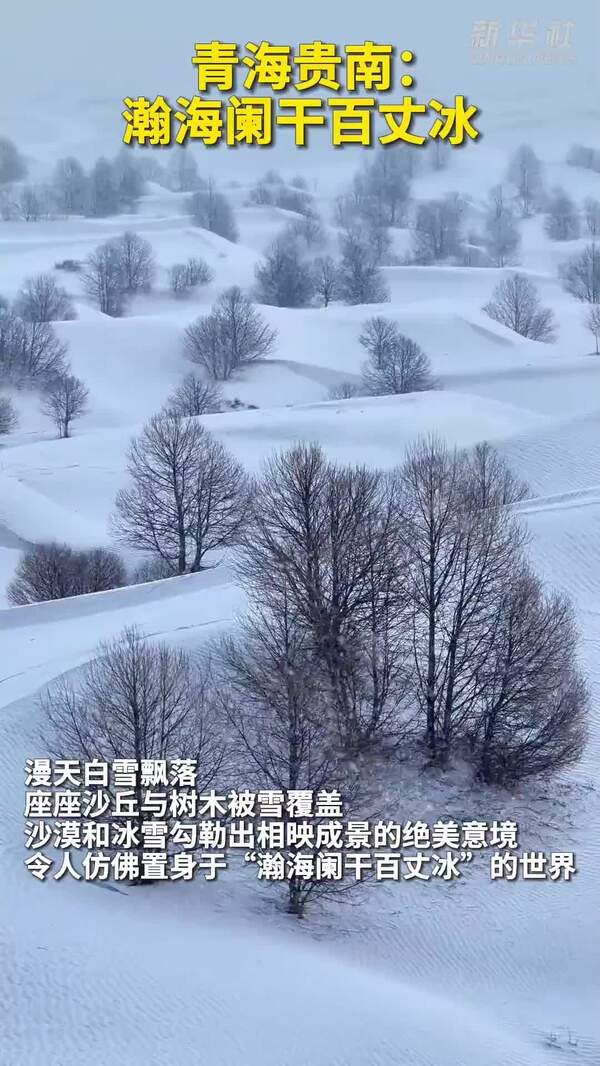 青海贵南：瀚海阑干百丈冰