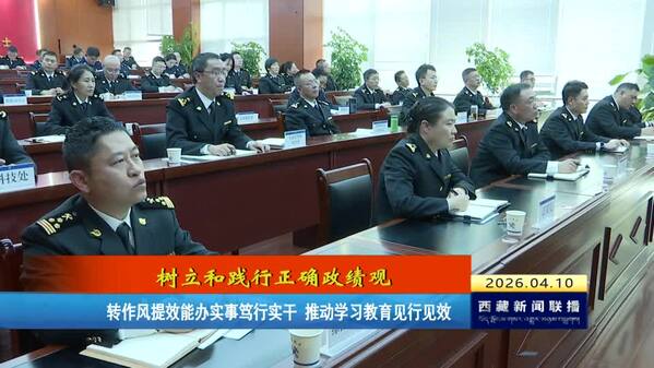 【树立和践行正确政绩观】转作风提效能办实事笃行实干 推动学习教育见行见效
