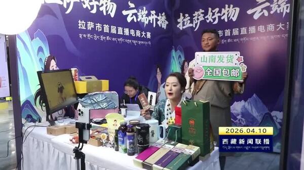 2025年西藏自治区网络零售额突破280亿元