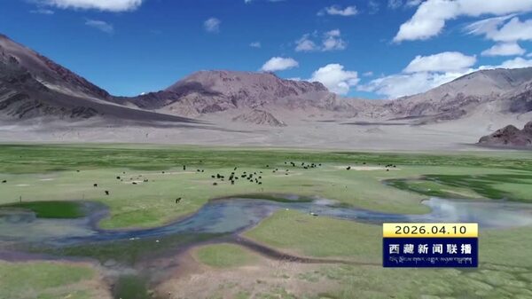 阿里生态安全屏障持续稳固