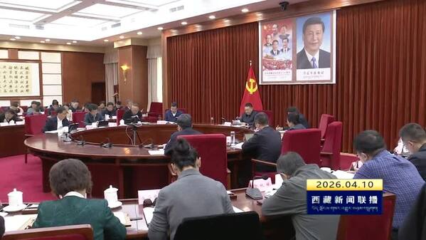 嘎玛泽登主持召开区政府党组（扩大）会 坚定不移沿着习近平总书记指引的方向奋勇前进 共建中华民族共同体 书写美丽西藏新篇章