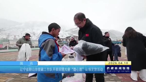 辽宁省鞍山市援藏工作队开展困境儿童“微心愿”认领发放活动