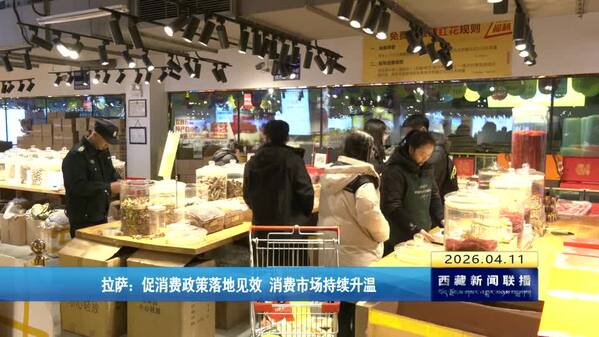 拉萨：促消费政策落地见效 消费市场持续升温