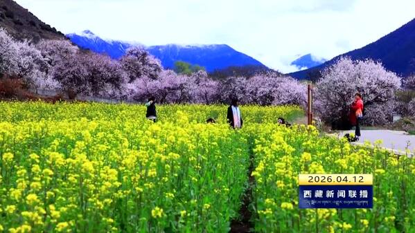 “大美青海•幸福西藏”桃花季旅游专列抵达林芝 邂逅雪域江南春日盛景