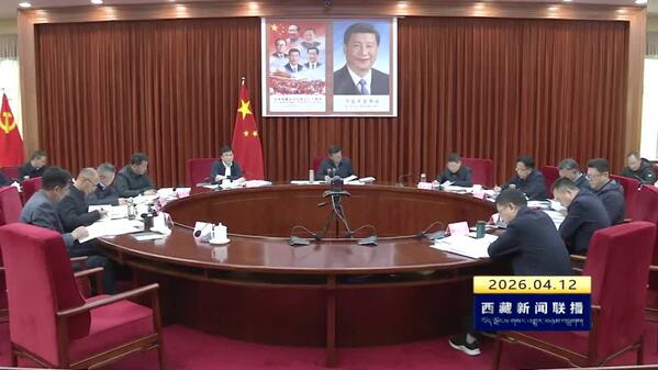 旦巴在自治区就业促进和劳动保护工作领导小组2026年第1次会议上强调 强化责任担当 积极履职尽责 全力以赴抓好高校毕业生等青年高质量就业创业工作