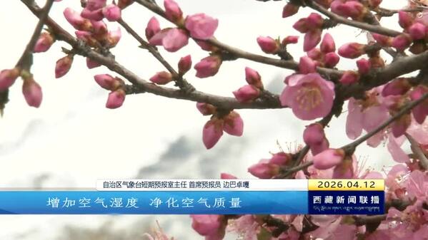 拉萨迎降雪 西藏自治区部分地区未来几天将持续阴雨天气