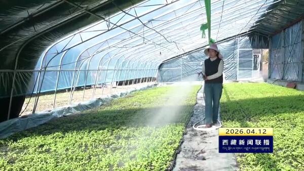 西藏自治区5个产业强镇项目通过农业农村部评估