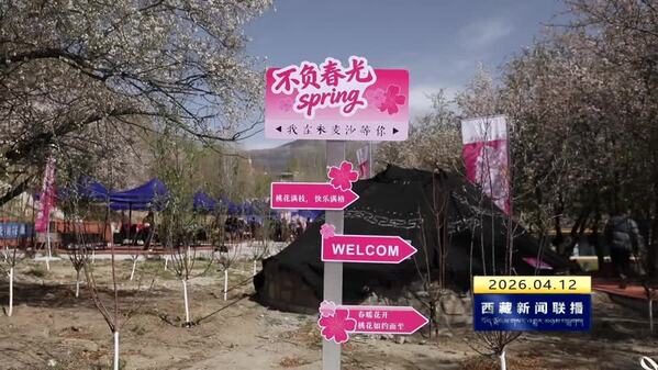 以花兴旅促发展——曲松县桃花节举办