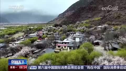 今年首趟桃花节主题专列抵达林芝