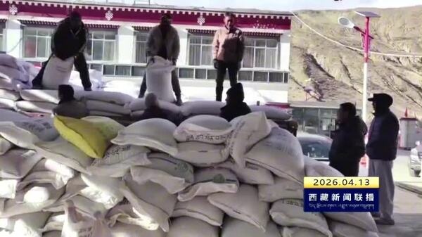 措美县开展黑青稞种子免费发放活动