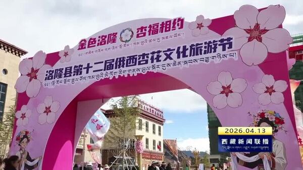 洛隆县举办第十二届俄西杏花文化旅游节