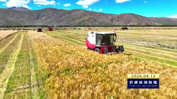 西藏自治区耕地质量稳中有升 有机质平均含量较测土配方施肥初期提升超26%