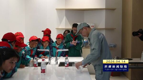 林芝开展红领巾研学寻访“四个创建” 感悟高质量发展活动