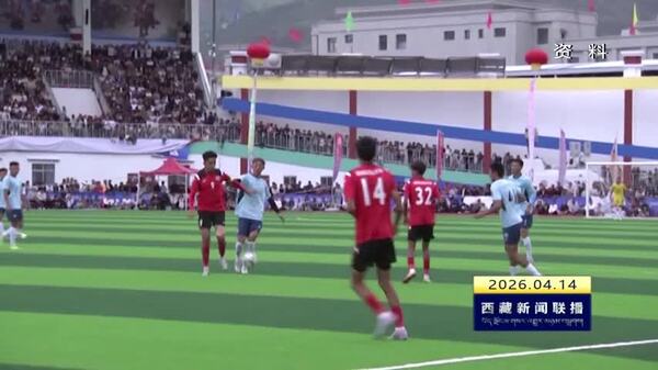 山南市“石榴籽”杯草原足球邀请赛入围2025年群众“三大球”精品赛事案例名单