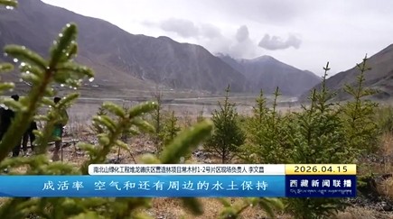 微喷带“唱主角” 南北山绿化探索节水新路
