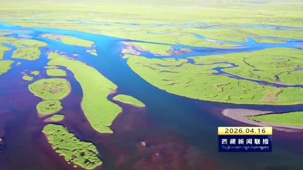安多县野生动物保护成效显著