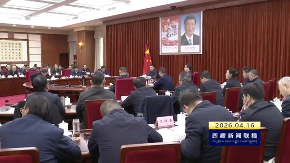 嘎玛泽登在自治区安全生产委员会全体会议上强调 全力以赴防风险保安全护稳定促发展 以高水平安全护航经济社会高质量发展