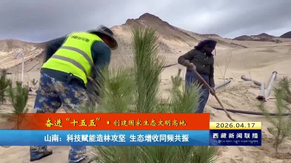 【奋进“十五五”·创建国家生态文明高地】山南：科技赋能造林攻坚 生态增收同频共振