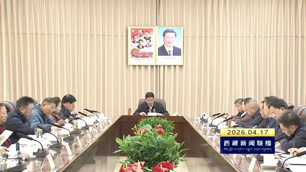 严金海在自治区人大常委会党组理论学习中心组2026年第3次（扩大）学习会上强调 依法履职 积极担当 为社会主义现代化新西藏建设作出人大应有贡献