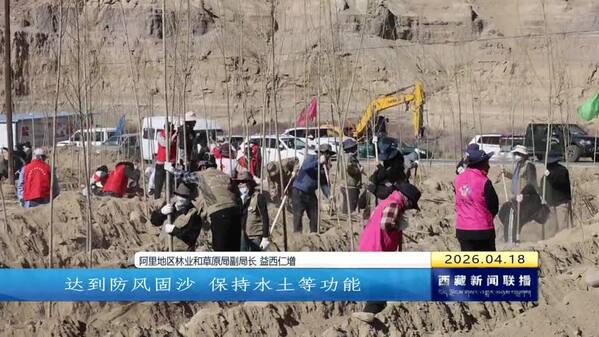 春风送绿 阿里地区有序推进植树造林活动