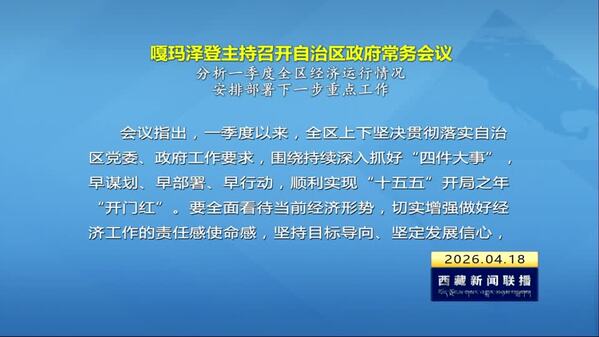 嘎玛泽登主持召开自治区政府常务会议 分析一季度全区经济运行情况 安排部署下一步重点工作