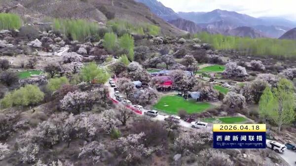 加查县加查镇举办首届桃花文化旅游活动