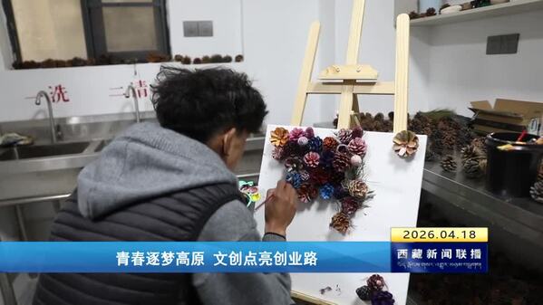 青春逐梦高原 文创点亮创业路