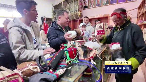 日喀则市非遗保护工作培训走进南木林县