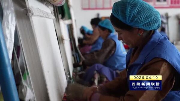 谢通门县2026年第二期农牧民技能培训点燃“新引擎”