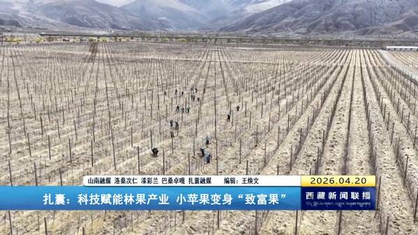 扎囊：科技赋能林果产业 小苹果变身“致富果”