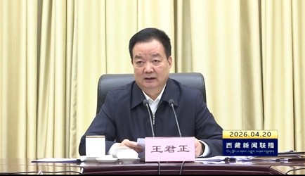 王君正主持召开自治区党委农村工作领导小组会议时强调 巩固拓展脱贫攻坚成果 促进农业农村现代化 扎实推进乡村全面振兴 努力提升各族群众获得感幸福感安全感