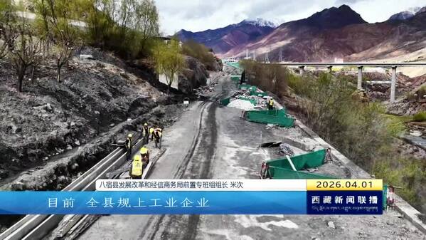【奋进“十五五”·创建高原经济高质量发展先行区】铆足干劲开新局 高原处处涌动建设热潮
