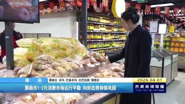 那曲市1-2月消费市场运行平稳 向好态势持续巩固