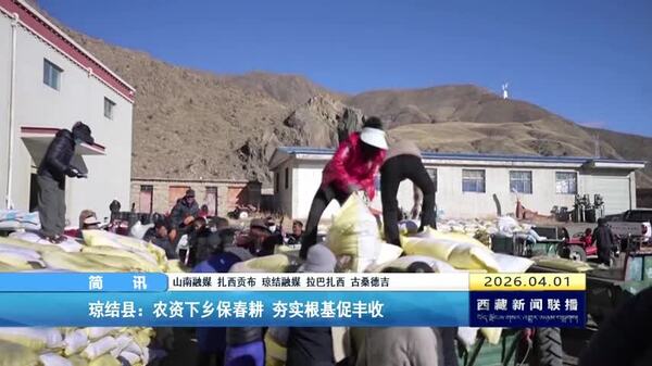 琼结县：农资下乡保春耕 夯实根基促丰收