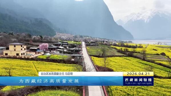 【改进作风“见”落实】西藏发改人的“实干答卷”：以严实作风护航高质量发展