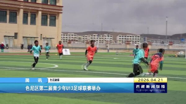 色尼区第二届青少年U13足球联赛举办